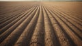 Agricultural field with precise and symmetrical furrows