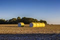 Agricultural Fields in Rural countryside of Arkansas, USA