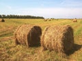 Round bales of dried hay in the field against the blue sky Royalty Free Stock Photo