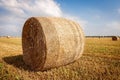 Agricultural field. Round bundles of dry grass in the field against the blue sky Royalty Free Stock Photo