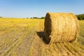 Agricultural field. Round bundles of dry grass in the field against the blue sky. farmer hay roll close up. Royalty Free Stock Photo