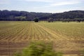 Agricultural field in the springtime