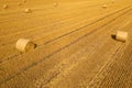 Agricultural field with straw bales. Top view of a landscape with hay rolls after autumn harvest. Royalty Free Stock Photo