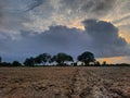 Agricultural field , trees, heavy clouds