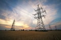 Agricultural field. wheat and power lines Royalty Free Stock Photo