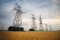 Agricultural field. wheat and power lines Royalty Free Stock Photo