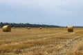 An agricultural field where the wheat was harvested and the straw was pressed into round bales. in the summer in the field Royalty Free Stock Photo