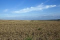 agricultural field on which stubble wheat remained