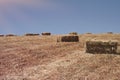 Agricultural field on which wheat harvest gathered. Bales of straw square shape