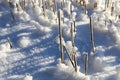 agricultural field in winter Royalty Free Stock Photo