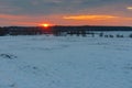 Agricultural field at winter season in Sumskaya oblast, Ukraine Royalty Free Stock Photo