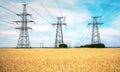 Agricultural field. Yellow wheat and power lines Royalty Free Stock Photo