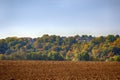 Agricultural fields in autumn Royalty Free Stock Photo