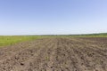 agricultural fields cultivated and sown with seeds of grain crops for future harvests. Royalty Free Stock Photo