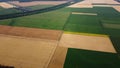 Agricultural fields Field with ripe wheat and other different agricultural crops Royalty Free Stock Photo