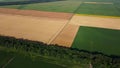 Agricultural fields Field with ripe wheat and other different agricultural crops Royalty Free Stock Photo