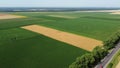 Agricultural fields Field with ripe wheat and other different agricultural crops Royalty Free Stock Photo