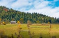 Agricultural fields on hillside near forest Royalty Free Stock Photo