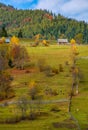 Agricultural fields on hillside near forest Royalty Free Stock Photo