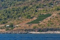 Agricultural fields and homestead by the sea Royalty Free Stock Photo