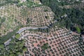 Agricultural fields of Italy photographed from drone. Royalty Free Stock Photo