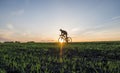 Agricultural fields and a man ride a bicycle in sunset. Riding a Bicycle at Sunset. Healthy Lifestyle Concept. Male ride