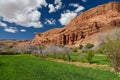 Agricultural fields, Morocco Royalty Free Stock Photo