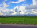 Agricultural fields in the northern part of bengal with a clear winter sky