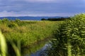 Agricultural fields of plants with irigation canal on sunny morning Royalty Free Stock Photo