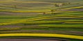 Agricultural fields in Roztocze. Poland. Royalty Free Stock Photo