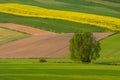 Agricultural fields in Roztocze. Poland. Royalty Free Stock Photo