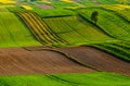 Agricultural fields in Roztocze. Poland. Royalty Free Stock Photo