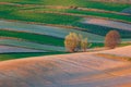 Agricultural fields in Roztocze. Poland. Royalty Free Stock Photo