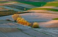 Agricultural fields in Roztocze. Poland. Royalty Free Stock Photo