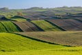 Agricultural fields in Roztocze. Poland. Spring Royalty Free Stock Photo