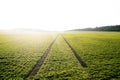 Agricultural fields. Spring time. Traces in land from the tractor. Sunset Royalty Free Stock Photo