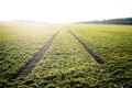 Agricultural fields. Spring time. Traces in land from the tractor. Sunset Royalty Free Stock Photo