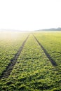 Agricultural fields. Spring time. Traces in land from the tractor. Sunset Royalty Free Stock Photo