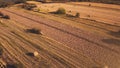 Agricultural fields in sunset with rolled haystacks, aerial view Royalty Free Stock Photo