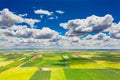 Cereal agriculture fields with bird`s eye view