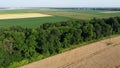 Agricultural fields Field with ripe wheat and other different agricultural crops Royalty Free Stock Photo