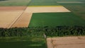 Agricultural fields. Yellow green fields ripe wheat, different green crops. Royalty Free Stock Photo