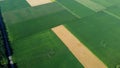 Agricultural fields Field with ripe wheat and other different agricultural crops Royalty Free Stock Photo