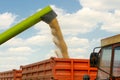 Agricultural harvester combine pouring wheat in tractor trailer