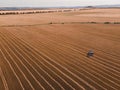 Agricultural harvester in a yellow field of wheat Royalty Free Stock Photo