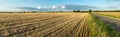 Agricultural hay field with bales and road. Sunset light and blue sky. Panoramic view. Royalty Free Stock Photo