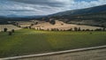 agricultural holdings of wheat and sunflowers in Burgos, Castila and Leon, Spain