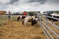 Agricultural holiday on the Baltic coast