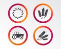 Agricultural icons. Wheat corn or Gluten free.