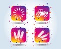 Agricultural icons. Wheat corn or Gluten free.